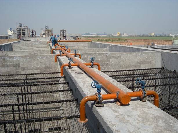 1516101832772918.jpeg HVWN73M08MD9.jpeg